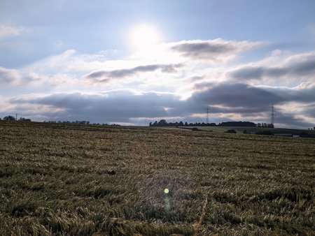 PXL_20210621_180129357.jpg