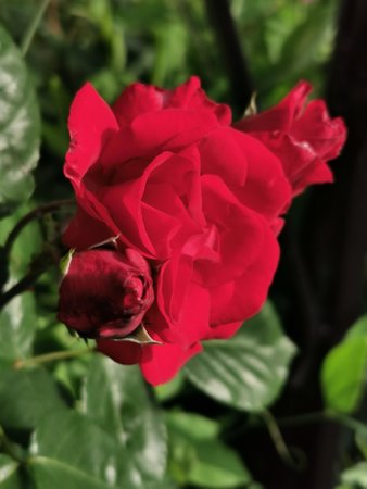 IMG_20210623_081815.jpg