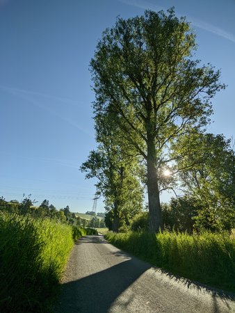 PXL_20210614_075926001.jpg