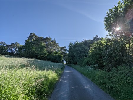 PXL_20210614_081052196.jpg