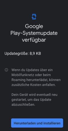 Screenshot_20210702-023657_Google Play Store.jpg