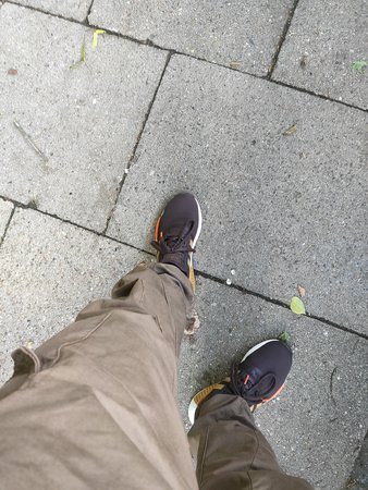 IMG_20210703_164100.jpg