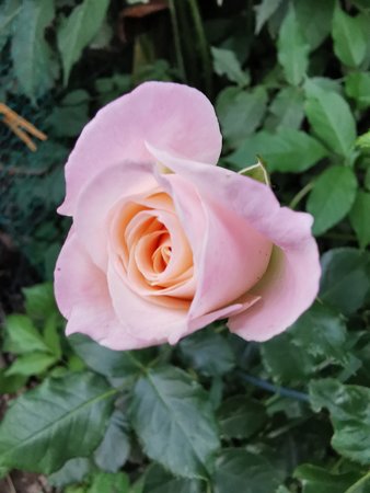 IMG_20210626_212511.jpg