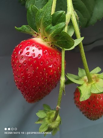 IMG_20210706_115103.jpg