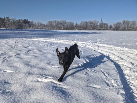 PXL_20210131_101246916.jpg