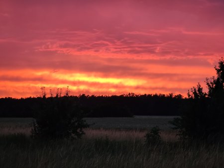 IMG_20210706_213643.jpg