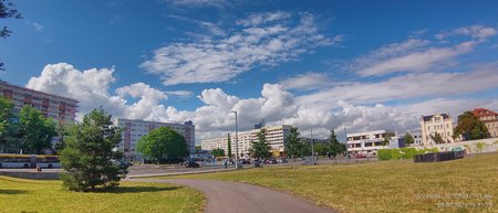 IMG_20210705_162125_HDR.jpg