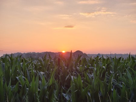 20210709_213427.jpg