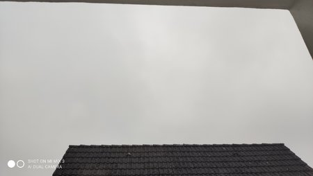 IMG_20210711_084332.jpg