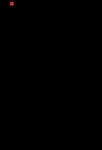 punkt.jpg