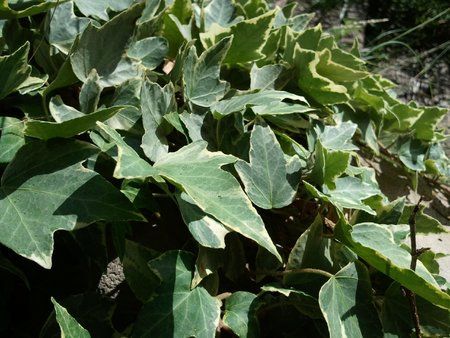 2010-07-30 14.10.53.jpg