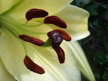 2010-07-30 16.49.26 Kopie Kopie.jpg