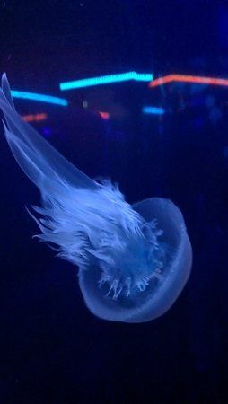 IMAG0045.jpg