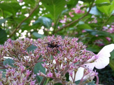 20120727_133703.jpg