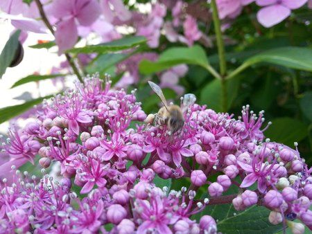 20120727_132833.jpg