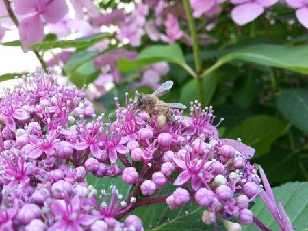 20120727_132832.jpg