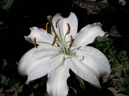 20120727_131151.jpg