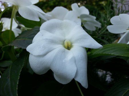 20120727_130834.jpg