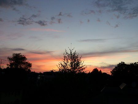 DSC_0145.jpg
