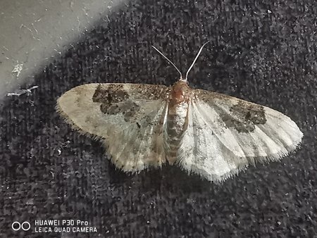 ca1cm-aufTreppenabgangIMG_20210707_095730.jpg