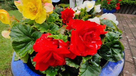 IMG_20210708_180932.jpg