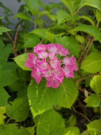 IMG_20210711_132703.jpg