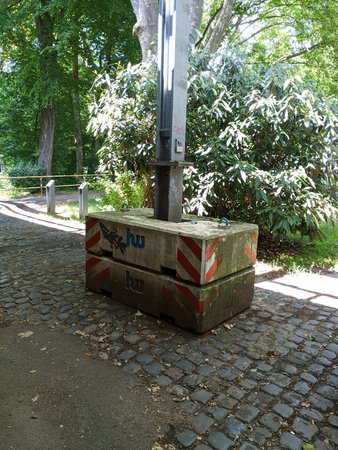 PXL_20210629_114207869.jpg