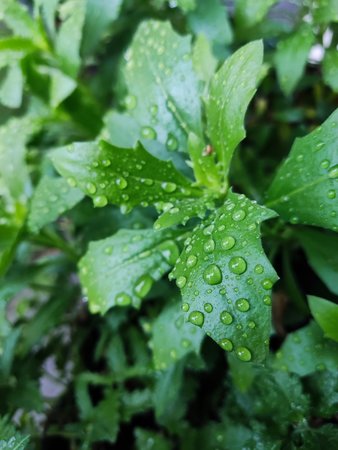 IMG_20210717_111050.jpg