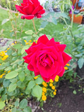 IMG_20210717_201228.jpg