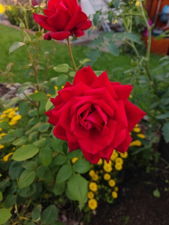 IMG_20210717_201233.jpg