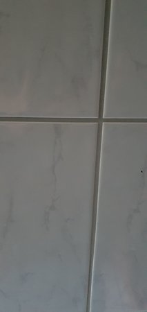 20210719_201927.jpg