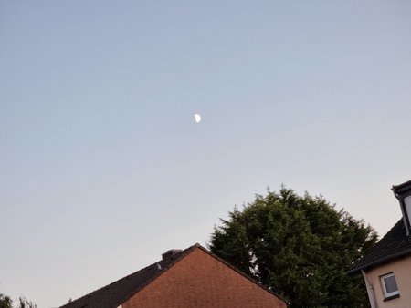 20210718_213913.jpg