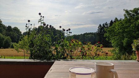 MVIMG_20210726_085534.jpg
