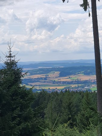 20210726_130322.jpg