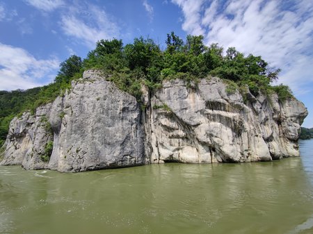 IMG_20210726_141724.jpg