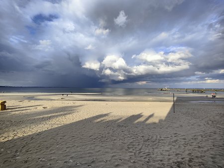 IMG_20210730_122613.jpg