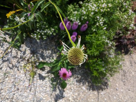 F188C128-6C17-4CAA-B317-6D9033043770.jpeg