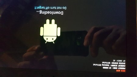 16278421127658531233182186421408.jpg