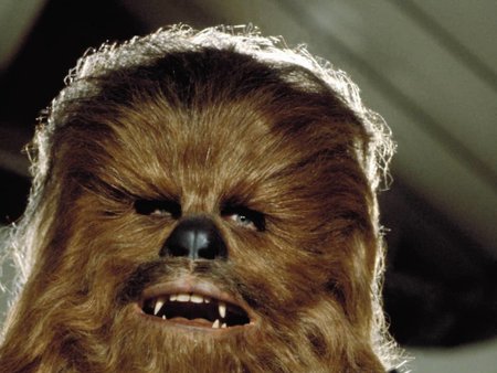 chewbacca.jpg