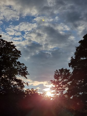 20210802_194920.jpg