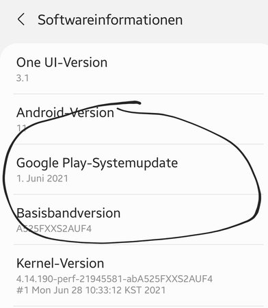 Screenshot_20210805-122013_Settings.jpg