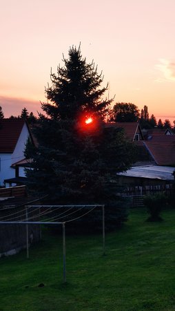 IMG_20210805_203937.jpg