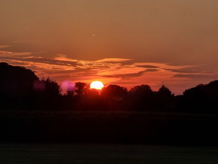20210805_210421.jpg