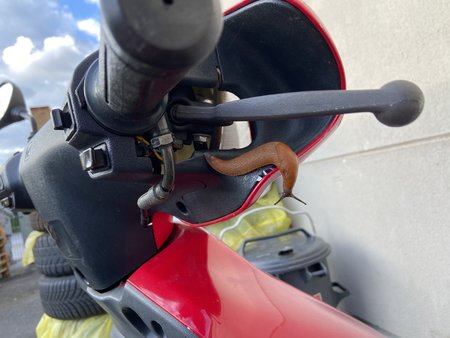 63541922-0227-4309-A603-5C16227DAC20.jpeg