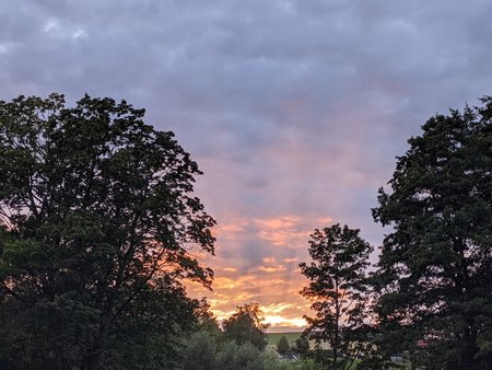 PXL_20210809_182933088.jpg