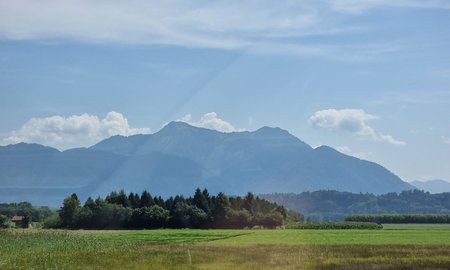 20210812_140041.jpg