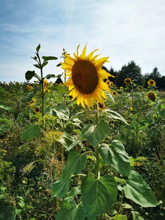 IMG_20210812_163053.jpg