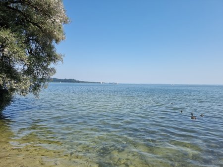 20210815_115037.jpg