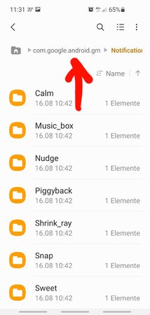 Screenshot_20210816-113122_My Files.jpg