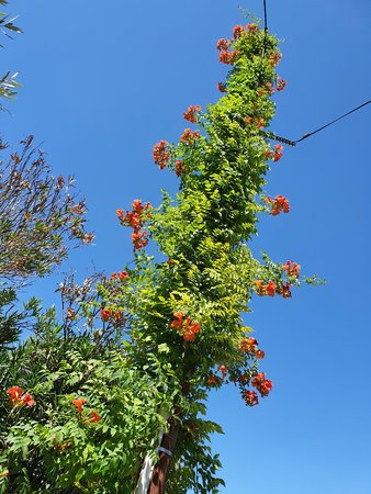 20210711_154331.jpg